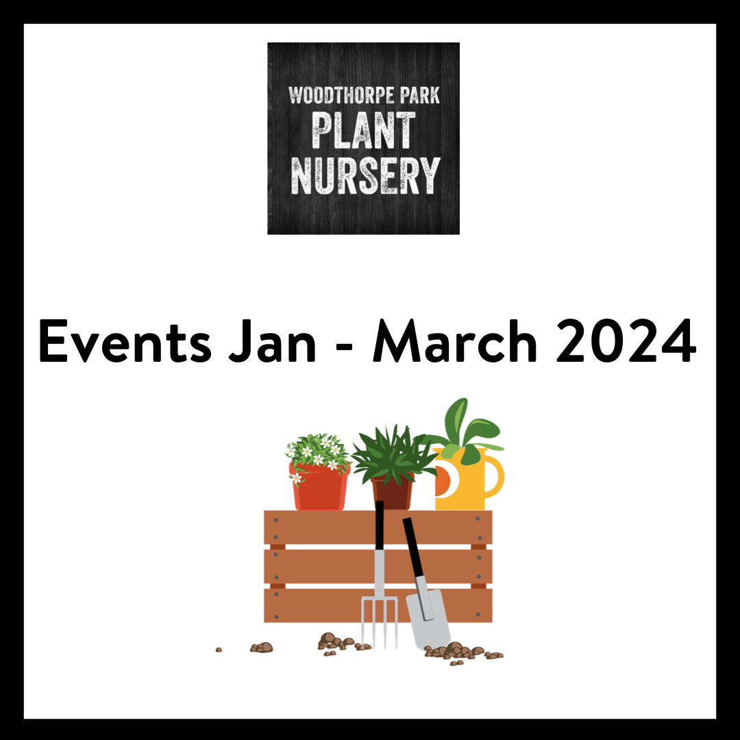 EVENTS AT THE PLANT NURSERY JANUARY MARCH 2024 Woodthorpe Park   Announcment 2 